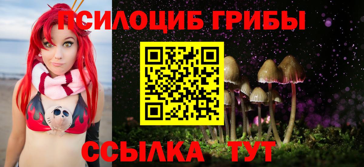 Галлюциногенные грибы мухоморы  Вход с VPN  Тамбов 